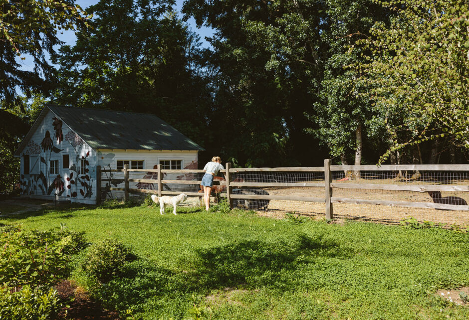 clover lawn